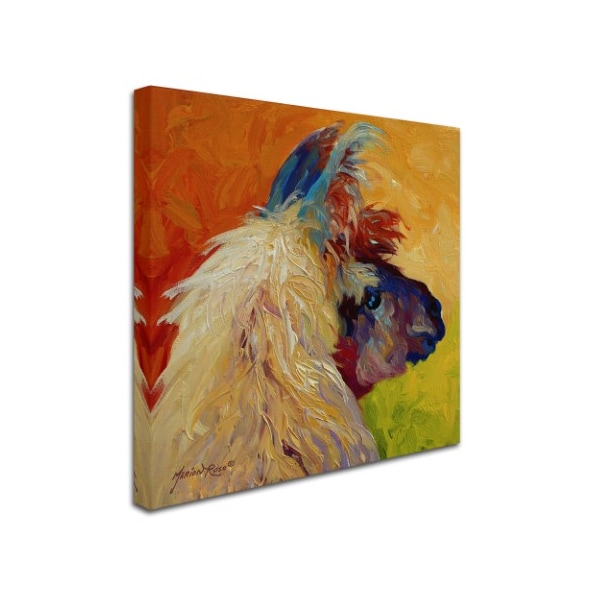 Marion Rose 'Llama II' Canvas Art,35x35